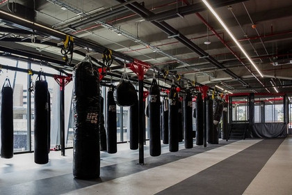 Imagen 1 de la galería del partner UFC Gym Artz Pedregal