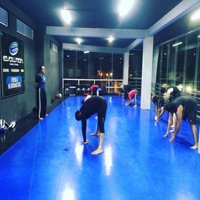 Imagen 2 de la galería del partner Evolution Combat Systems - Puebla Headquarters