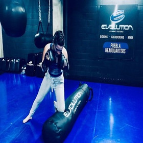 Imagen 4 de la galería del partner Evolution Combat Systems - Puebla Headquarters