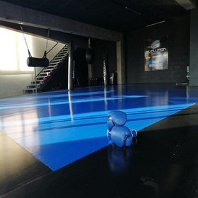 Imagen 5 de la galería del partner Evolution Combat Systems - Puebla Headquarters