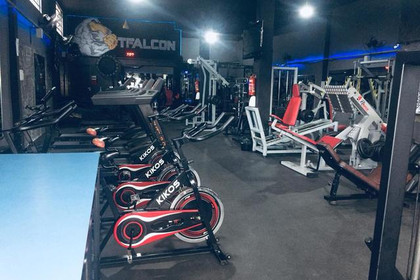 Imagem 3 da galeria do parceiro TFalcon Academia