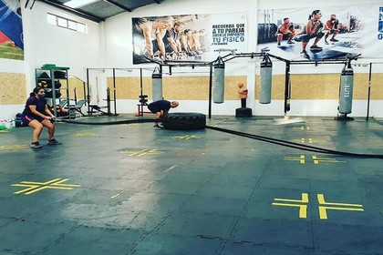 Imagen 3 de la galería del partner Elite Athletics