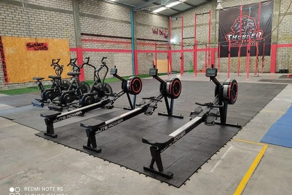 Imagen 6 de la galería del partner Thunder Lions CF