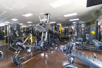 Imagem 10 da galeria do parceiro Xploud Academia