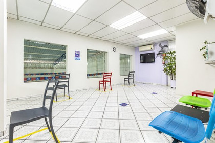 Imagem 10 da galeria do parceiro Cpn - Guacá