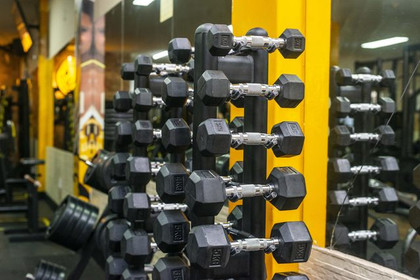 Imagem 10 da galeria do parceiro Lion Fitness - Iapi