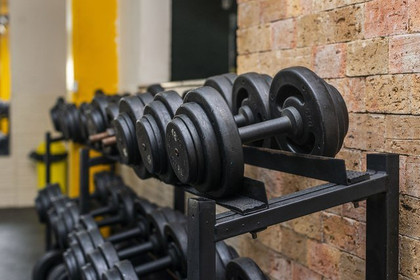 Imagem 11 da galeria do parceiro Lion Fitness - Liberdade