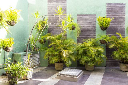 Imagem 7 da galeria do parceiro Biodinâmica Academia