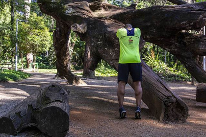 Imagem 6 da galeria do parceiro Runfun - Parque Celso Daniel (Abc)