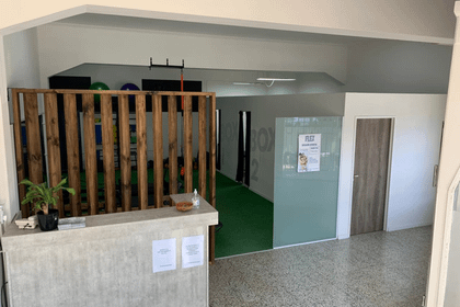 Imagen 4 de la galería del partner FLEX KINESEOLOGIA