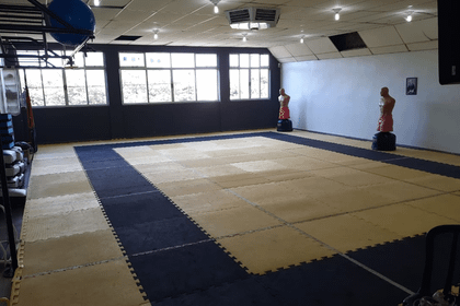 Imagem 3 da galeria do parceiro Dojo Biazon