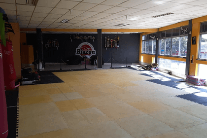Imagem 9 da galeria do parceiro Dojo Biazon