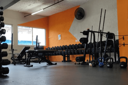 Imagem 1 da galeria do parceiro Profit Academia