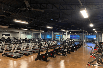 Imagem 1 da galeria do parceiro Perfect Prime
