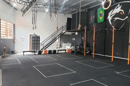 Imagem 6 da galeria do parceiro Black Wolf Cross Training