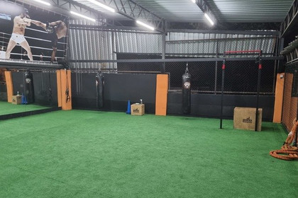 Imagem 1 da galeria do parceiro Shogun Team Jacarepagua
