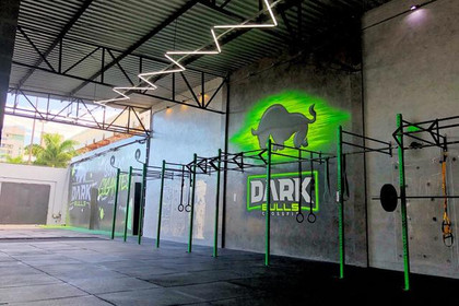 Imagem 3 da galeria do parceiro DARK BULLS