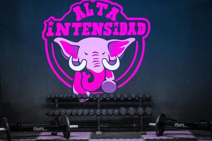 Imagen 2 de la galería del partner Alta Intensidad Gym