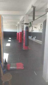 Imagem 1 da galeria do parceiro CT Lion Fight