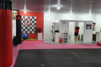 Imagem 2 da galeria do parceiro Ichigeki Academy