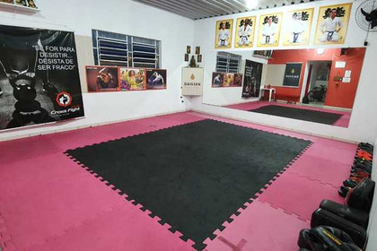 Imagem 6 da galeria do parceiro Ichigeki Academy