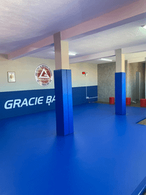 Imagem 1 da galeria do parceiro Gracie Barra Varginha
