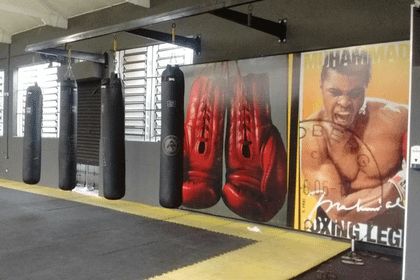 Imagem 3 da galeria do parceiro Americana Fight Combat