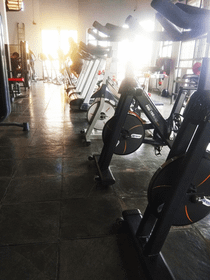 Imagem 5 da galeria do parceiro New Life Sport