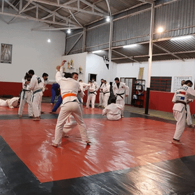 Imagem 4 da galeria do parceiro Escola Judô Giberti