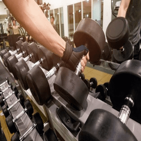 Imagen 5 de la galería del partner Zeus Gym
