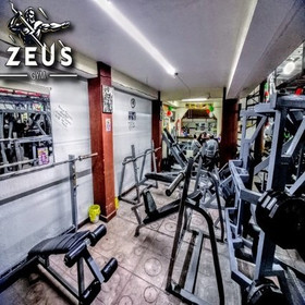 Imagen 6 de la galería del partner Zeus Gym