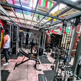 Imagen 7 de la galería del partner Zeus Gym