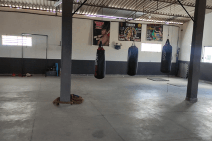 Imagem 1 da galeria do parceiro Terrier Fight Team