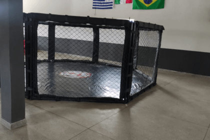 Imagem 3 da galeria do parceiro Terrier Fight Team