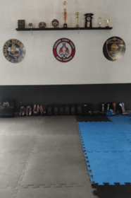 Imagem 5 da galeria do parceiro Terrier Fight Team