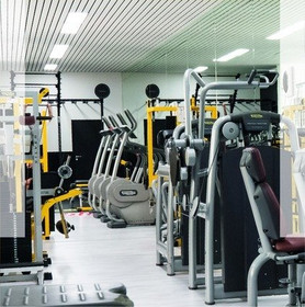 Immagine 3 dalla galleria del partner Palestra Performance Bologna