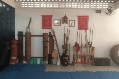 Imagem 5 da galeria do parceiro Escola de kung-fu Garra de Águia