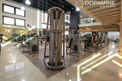 Imagen 1 de la galería del partner Dopamine Workout Gym