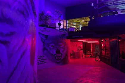 Imagen 4 de la galería del partner Wolf Tamaulipas
