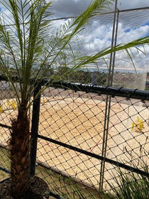 Imagem 3 da galeria do parceiro Contorno da Bola