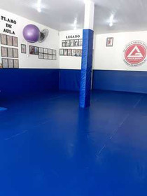 Imagem 4 da galeria do parceiro Gracie Barra Estrada do Magarça