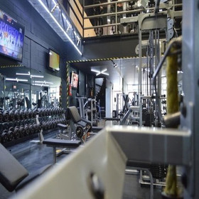 Imagen 4 de la galería del partner Vikings GYM