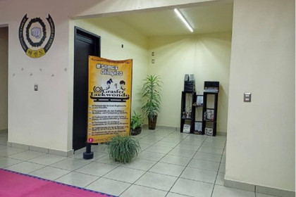 Imagen 1 de la galería del partner Instituto de Formación Marcial Taekwondo Grasfer