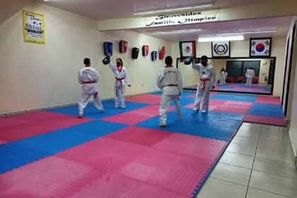 Imagen 2 de la galería del partner Instituto de Formación Marcial Taekwondo Grasfer