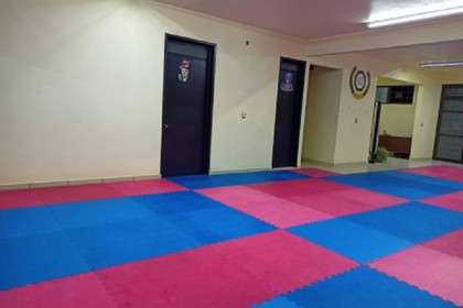 Imagen 5 de la galería del partner Instituto de Formación Marcial Taekwondo Grasfer