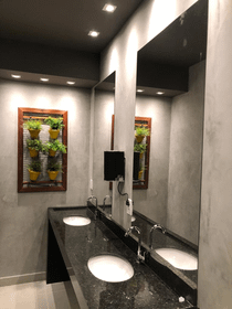 Imagem 5 da galeria do parceiro Play Box Trainer