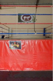 Imagem 2 da galeria do parceiro Xtreme Fight