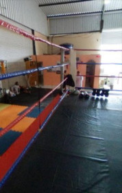 Imagem 4 da galeria do parceiro Xtreme Fight