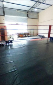 Imagem 5 da galeria do parceiro Xtreme Fight