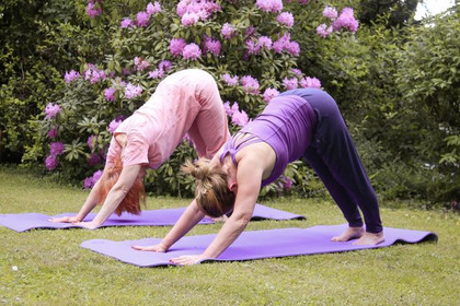 Bild 1 von Non Solo Yoga Partnergalerie